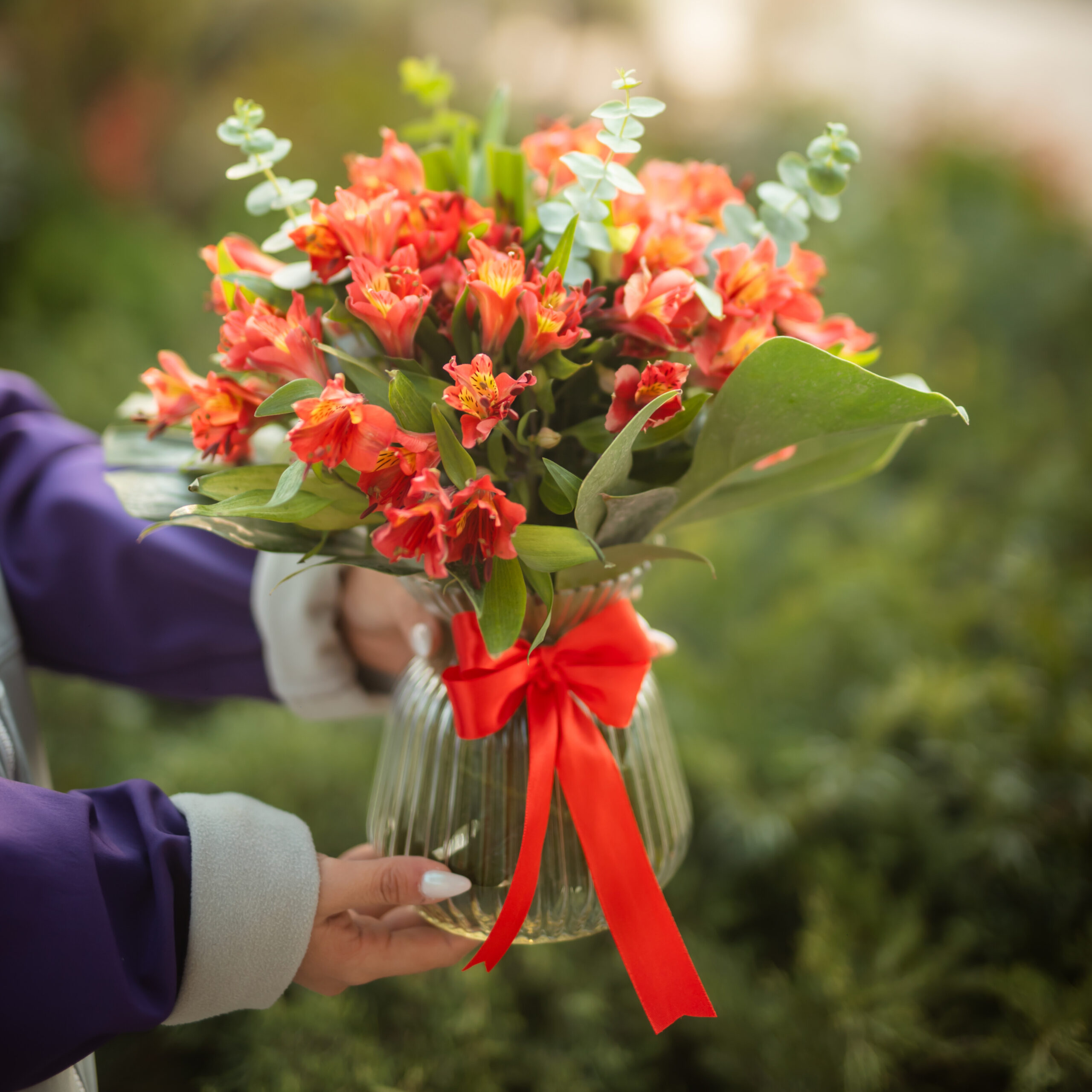 جام گل آلستر قرمز