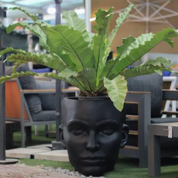 گلدان فایبرگلاس بزرگ و کوچک مدرن – هانی گل