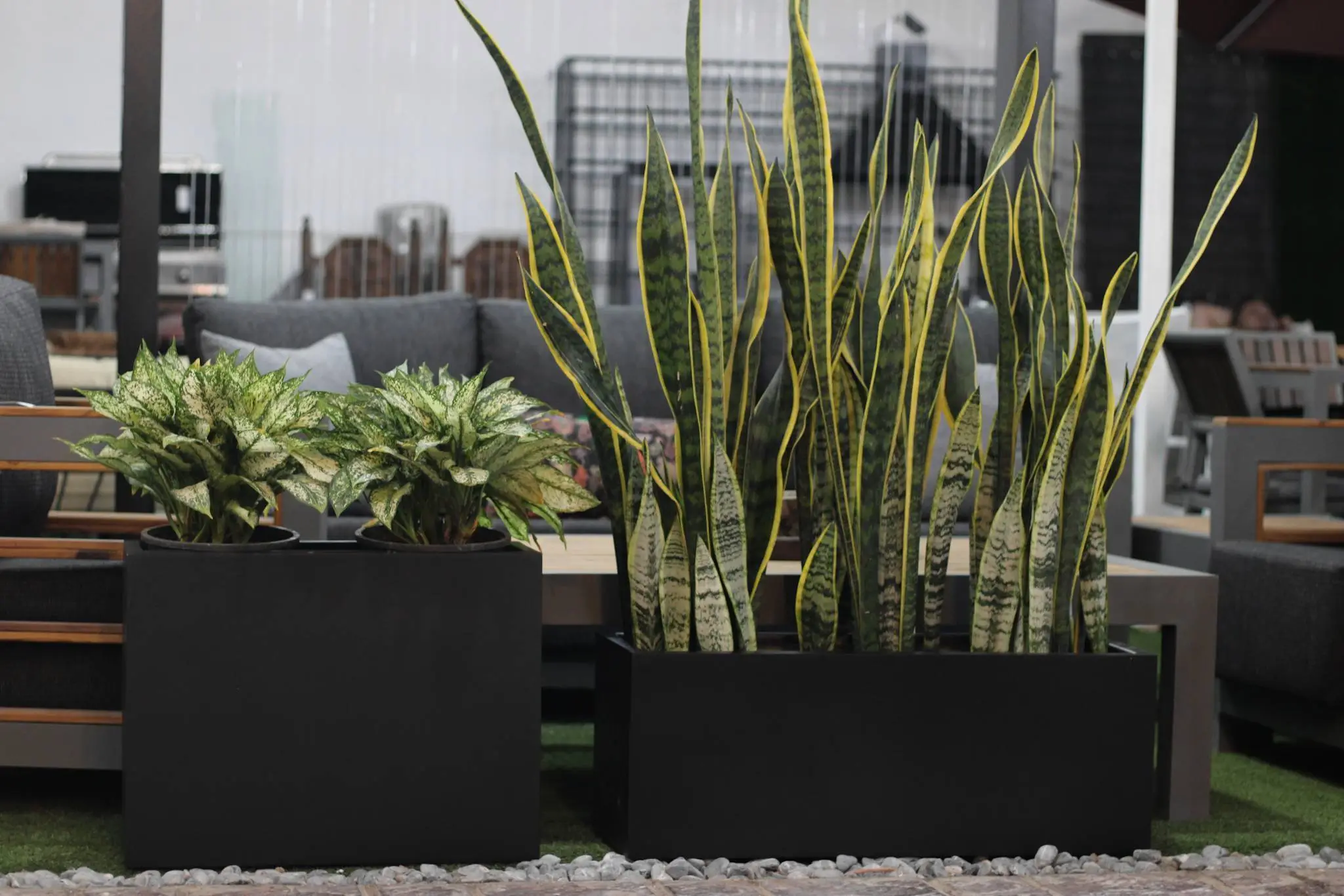 خرید فلاورباکس فایبرگلاس لوکس در تهران