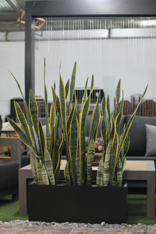 فلاورباکس فایبرگلاس لوکس با طرح مدرن و رنگ‌بندی شیک