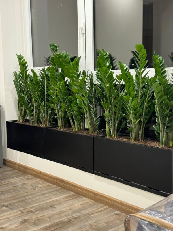 انواع فلاورباکس فایبرگلاس، چوبی و پلاستیکی در فضای لوکس