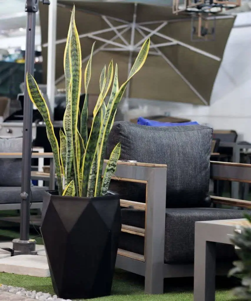 تاثیر گلدان‌های فایبرگلاس و رشد گیاهان