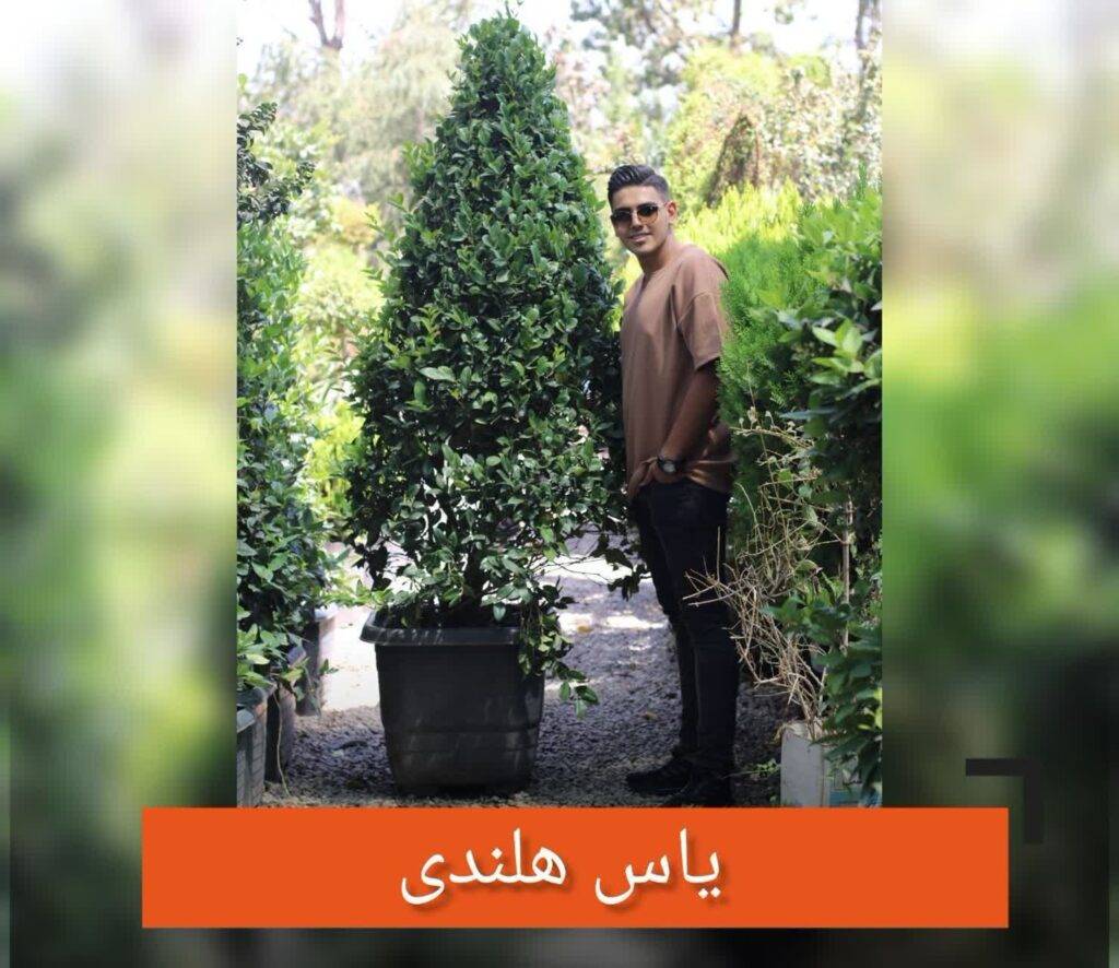 گلدان‌های فایبرگلاس برای بهینه‌سازی باغ