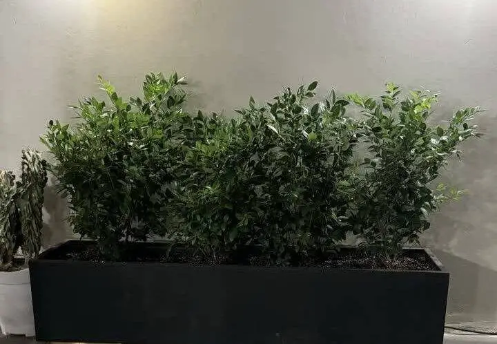 فلاور باکس فلزی در تهران