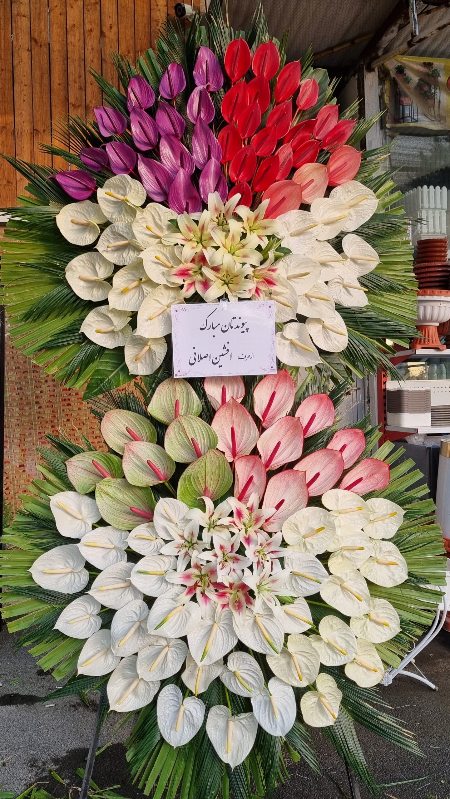 20240910 173153 scaled