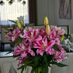 گل لی لی رز صورتی