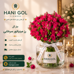 جار گل رزمینیاتور سرخابی