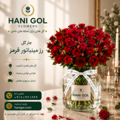 جار گل رزمینیاتور قرمز