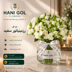 جار گل رزمینیاتور سفید