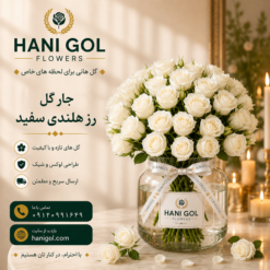 جار گل رز هلندی سفید