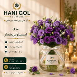 جار گل لیسینتوس بنفش