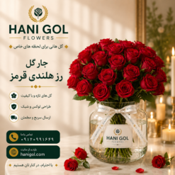 جار گل رز هلندی قرمز